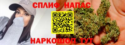a pvp Бердск