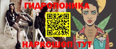 крисы Волгодонск