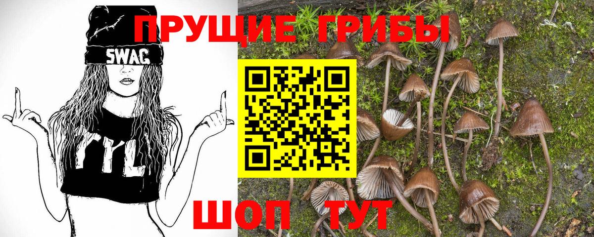 Псилоцибиновые грибы MAGIC MUSHROOMS  Вход с VPN  Галлюциногенные грибы MAGIC MUSHROOMS  Екатеринбург 
