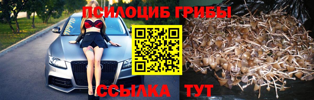 Галлюциногенные грибы ЛСД Екатеринбург